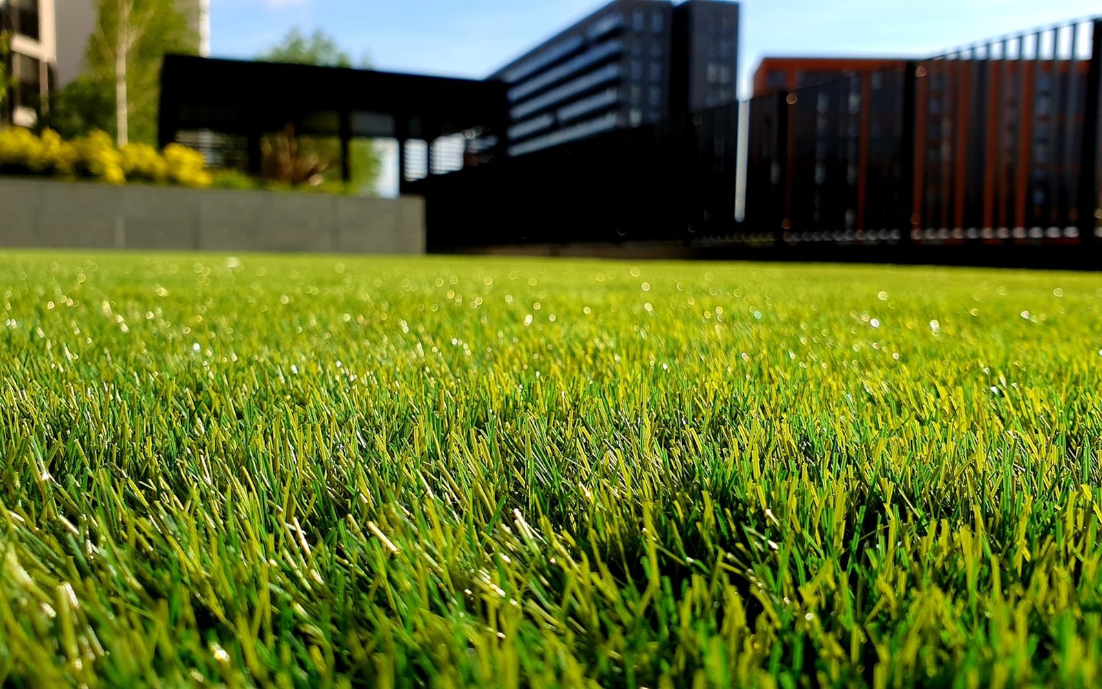 Freshly mowed green lawn with clean, sharp edges